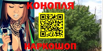 Альфа ПВП Заволжье