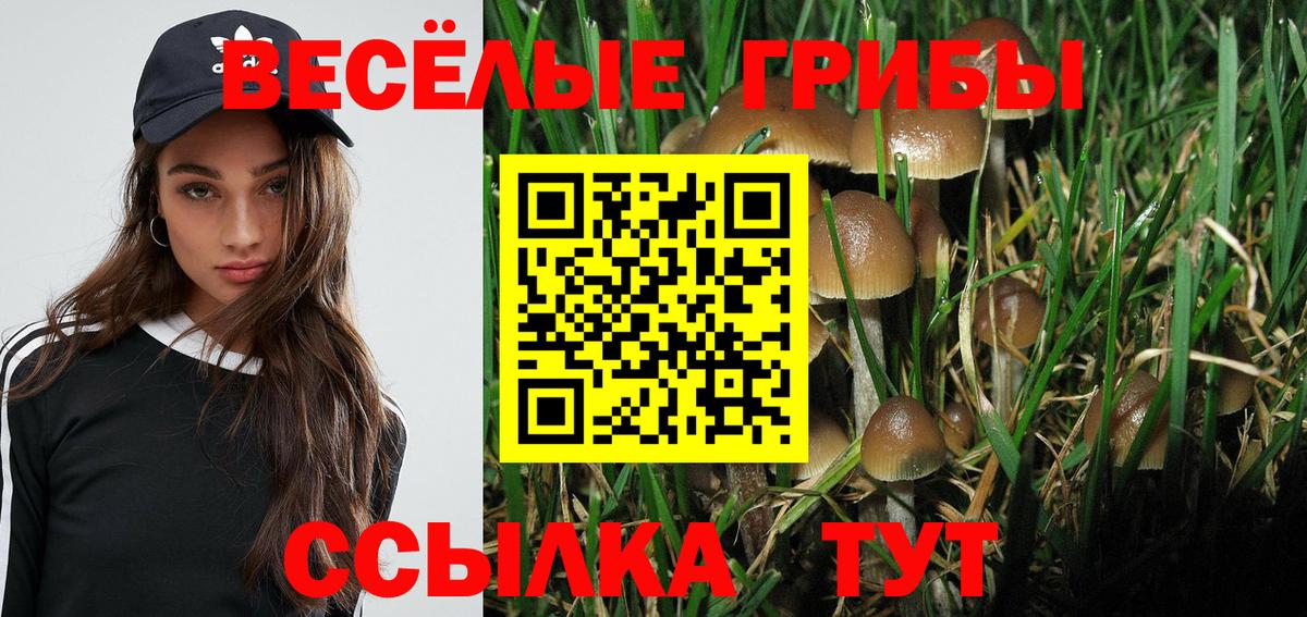 Галлюциногенные грибы мицелий Моршанск