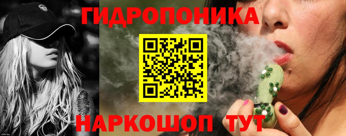 Канабис ГИДРОПОН  Вход с VPN  Моршанск  Канабис AK-47 
